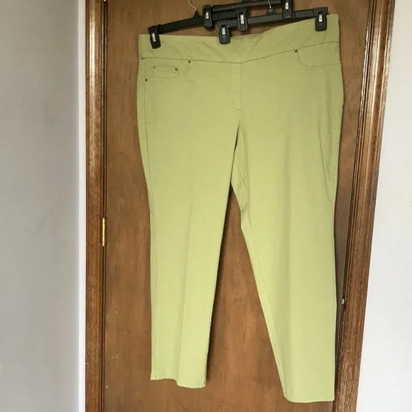 Ruby Rd pant new sage green slimming contour waistband pant 22W - Picture 9 of 17